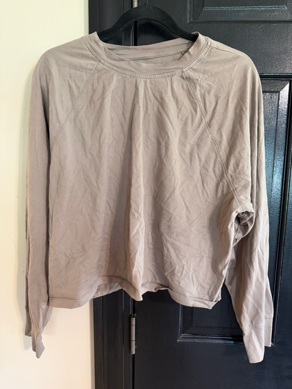 Women's Long-Sleeve Crop Top in Taupe